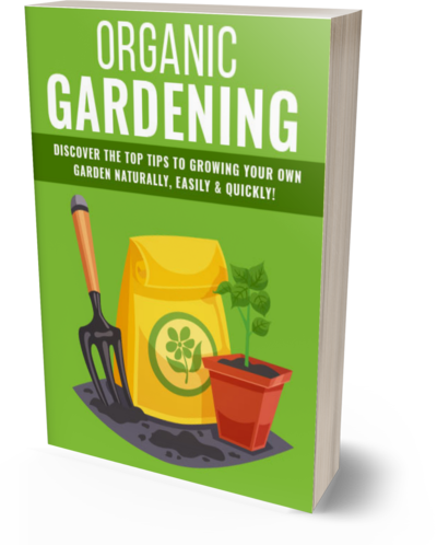 derechos de etiqueta privada